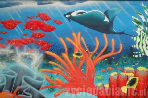 Jedni z najlepszych grafficiarzy w naszym mieście stworzyli niesamowite dzieło na płocie żłobka. Co kryje w sobie rafa koralowa na ul. Moniuszki?