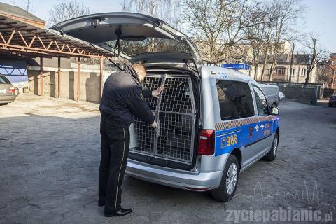 W szeregi pabianickiej Straży Miejskiej wjechał volkswagen caddy z 2016 roku
