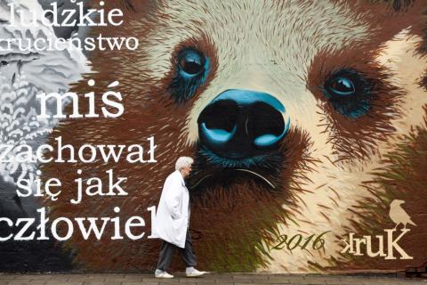 Ostatni mural namalowany przez "Kruka" przedstawia niedźwiedzia - żołnierza Wojtka