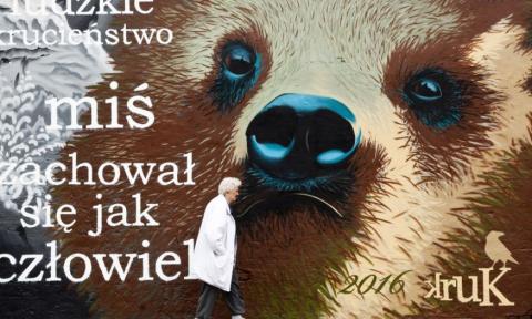 Ostatni mural namalowany przez "Kruka" przedstawia niedźwiedzia - żołnierza Wojtka
