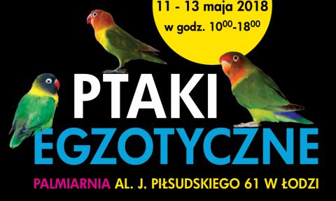 Wystawa ptaków egzotycznych w maju w łódzkiej Palmiarni Życie Pabianic