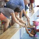 mistrzostwa w pływaniu przedszkolaków MOSiR Pabianice