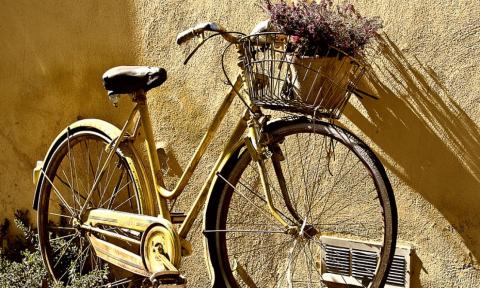 rower Życie Pabianic