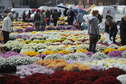 PSM nie pobiera opłat  od sprzedawców kwiatów