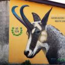 12 murali z serii „Eko Tuzin” Kruka na finiszu Życie Pabianic