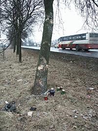Pod drzewem, na którym rozbił się bus, bez przerwy płoną znicze