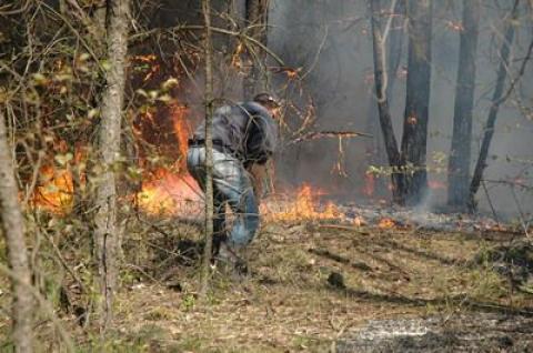 Płoną lasy wokół Pabianic