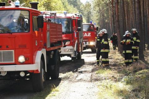 Na terenie leśnictwa Borkowice w gminie Dłutów odbyły się VIII Powiatowe Manewry Strażackie.