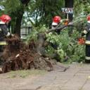 Skutki nawałnic, które przeszły nad naszym miastem, to głównie połamane drzewa i zalane drogi.