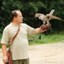 Andrzej Fijałkowski od 23 lat pasjonuje się drapieżnymi ptakami. Na polowania chodzi z sokołem i dwoma jastrzębiami.