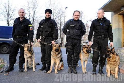 Od lewej sierżanci: Jacek Strycharski – pies Body, Ero,  Witold Mękalski – pies Jack, Cezary Misiak – pies Borys, Radosław Urbański – pies Thor 