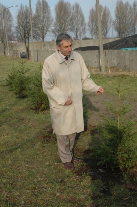 Florian Wlaźlak, prezes \"ciepłowni\", planuje już kolejne sadzenie drzewek