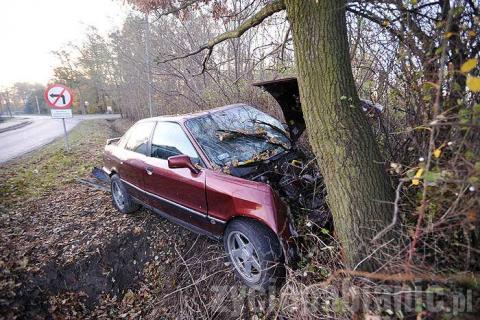 Nietrzeźwy kierowca walnął w drzewo w Piątkowisku. Ma jedynie kilka siniaków.