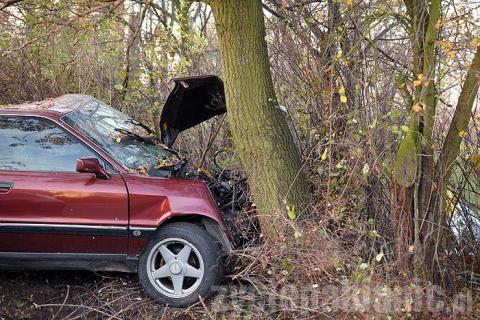 Nietrzeźwy kierowca walnął w drzewo w Piątkowisku. Ma jedynie kilka siniaków.