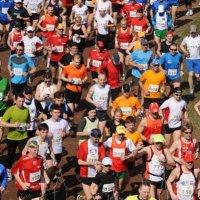 Około 600 osób pogiegło w pabianickim półmaratonie.
