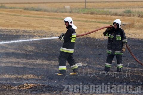 Kilkunastu strażaków walczyło z ogniem na polu w Prusinowicach