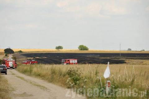 Kilkunastu strażaków walczyło z ogniem na polu w Prusinowicach