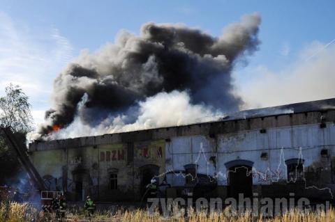 Paliły się stare budynki przy ul. Weglowej. W akcji brało udział kilkudziesięciu strażaków