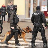 Saperzy z psami szukali dziś bomby przy ul. Zamkowej. Nic nie znaleźli.