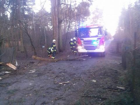 OSP Dobroń usuwało powalone drzewo w miejscowości Kolonia Ldzań