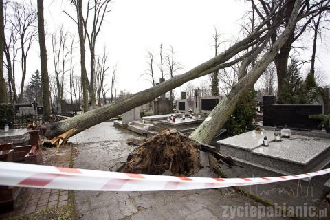 Trzy potężne drzewa na cmentarzu katolickim powaliła wichura