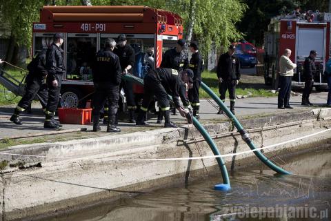 Strażacy wypompowywali wodę z Lewityna