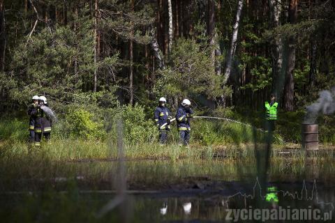 Ćwiczyli strażacy ochotnicy  z Dobronia, Dłutowa, Ksawerowa, Chechła, gminy i miasta Pabianice