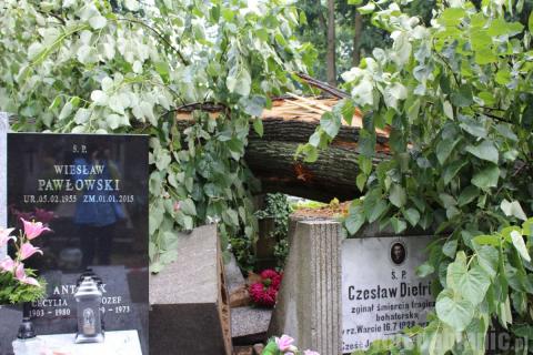 Zniszczone pomniki na cmentarzu katolickim