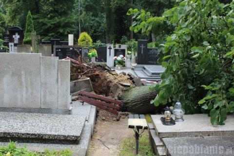 Zniszczone pomniki na cmentarzu katolickim