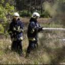 Ćwiczyli strażacy ochotnicy  z Dobronia, Dłutowa, Ksawerowa, Chechła, gminy i miasta Pabianice