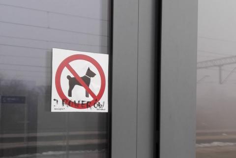Zakaz wprowadzania psów (i rowerów) zniknął z drzwi budynku dworca. Jak się okazuje, był bezprawny