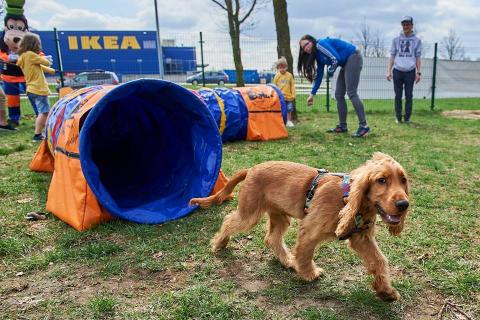Strefa treningowa dla psów w Porcie Łódź Życie Pabianic