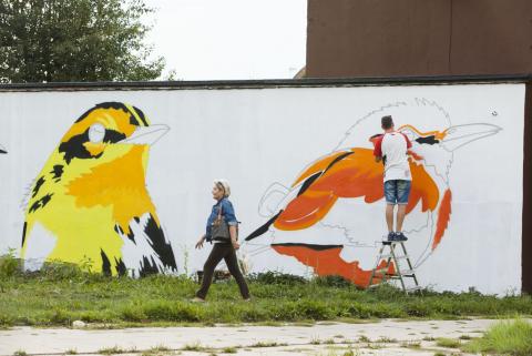 mural ptaki 20 stycznia zycie pabianic