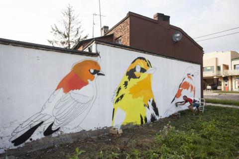 mural ptaki 20 stycznia zycie pabianic