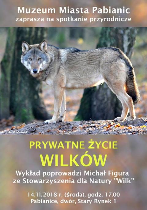 wilk Życie Pabianic