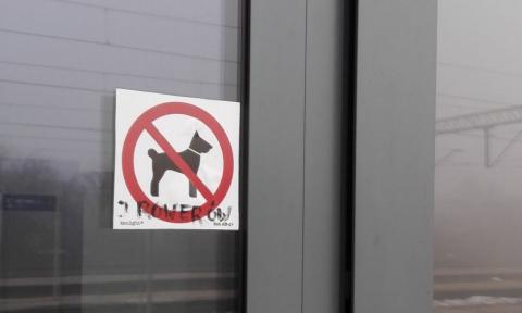 Zakaz wprowadzania psów (i rowerów) zniknął z drzwi budynku dworca. Jak się okazuje, był bezprawny