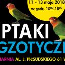 Wystawa ptaków egzotycznych w maju w łódzkiej Palmiarni Życie Pabianic