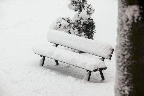 śnieg Życie Pabianic