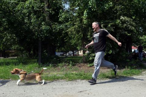 Bieg z psem Życie Pabianic