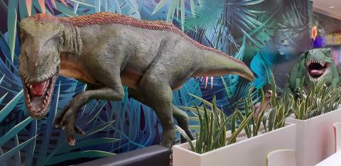 „Tropem dinozaurów” w galerii Echo