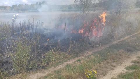Pożar traw w Chechle Życie Pabianic