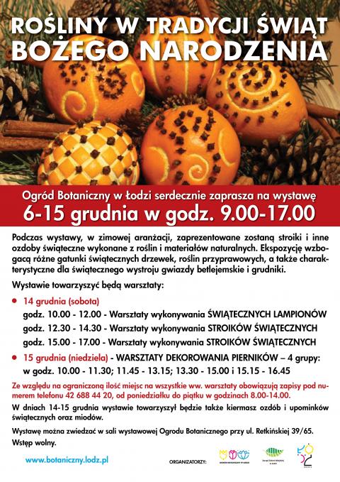 wystawa roślin świątecznych w ogrodzie botanicznym w Łodzi Życie Pabianic