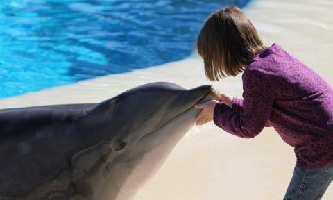 23 listopada łódzkie zoo zaprasza na warsztaty rodzinne „Śmieciowe potwory w świecie zwierząt” Życie Pabianic