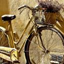 rower Życie Pabianic