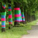 Kolorowe drzewa na Bulwarach Życie Pabianic