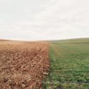 Uprawy pole susza  Życie Pabianic