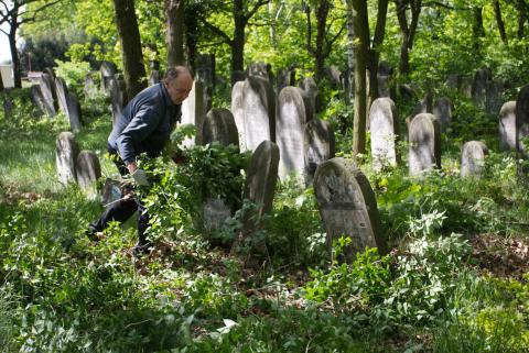 porządki na cmentarzu żydowskim Życie Pabianci