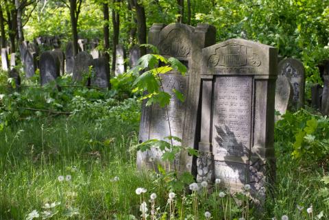 porządki na cmentarzu żydowskim Życie Pabianic