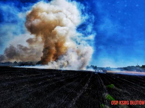Paliło się na 15 hektarach