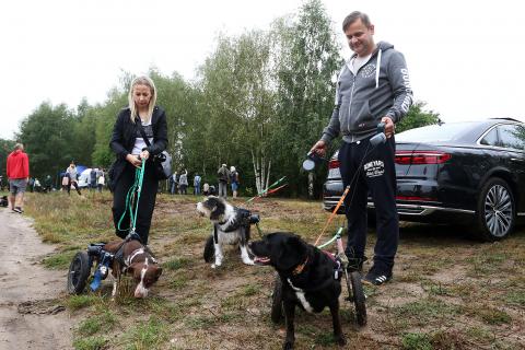 Zlot adoptowanych psów - PSIjaciel_4U_Pabianice Życie Pabianic